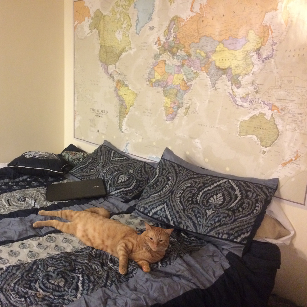 Meet your Posher, Laura